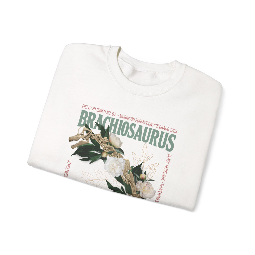 Brachiosaurus - Sweatshirt | FLOWERS