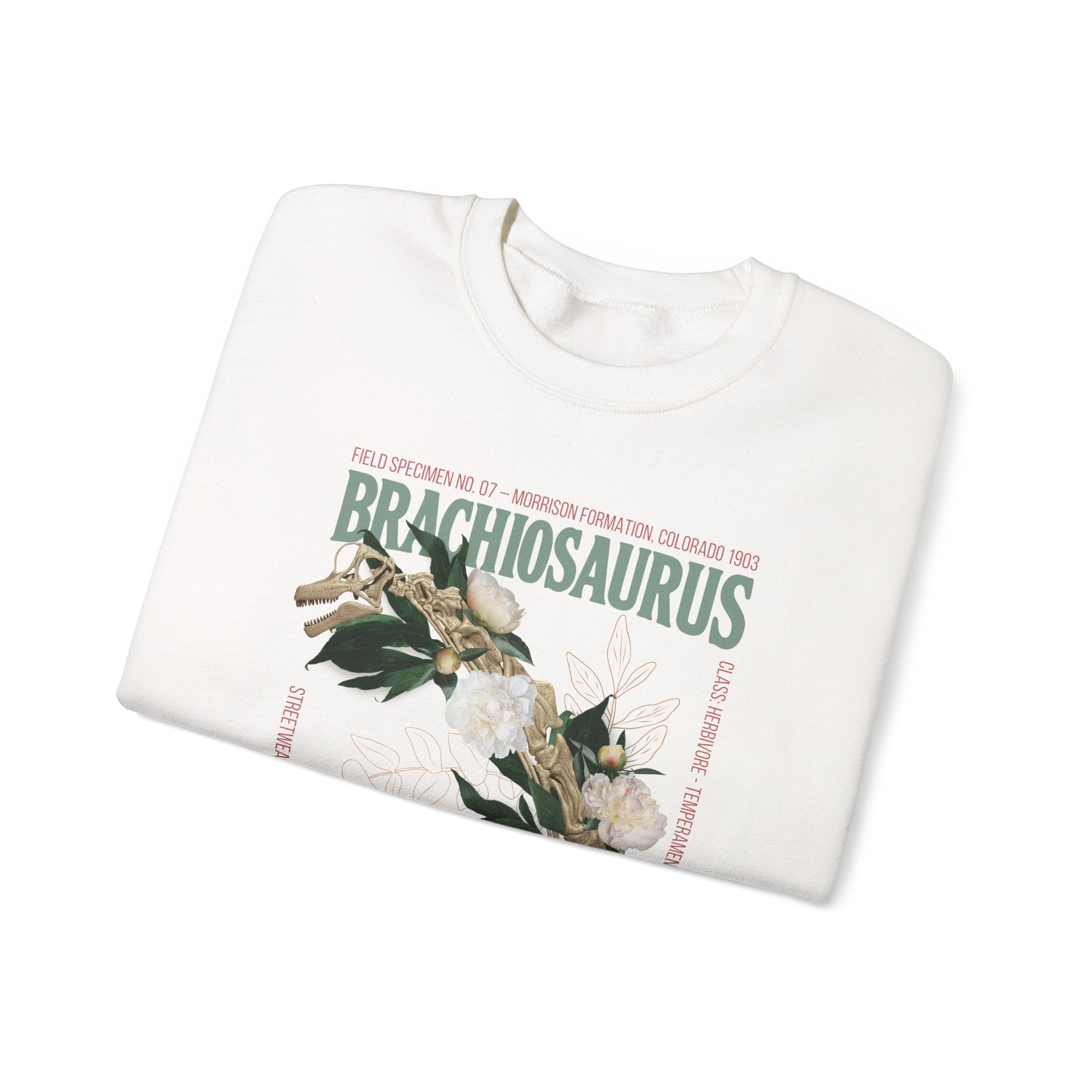 Brachiosaurus - Sweatshirt | FLOWERS