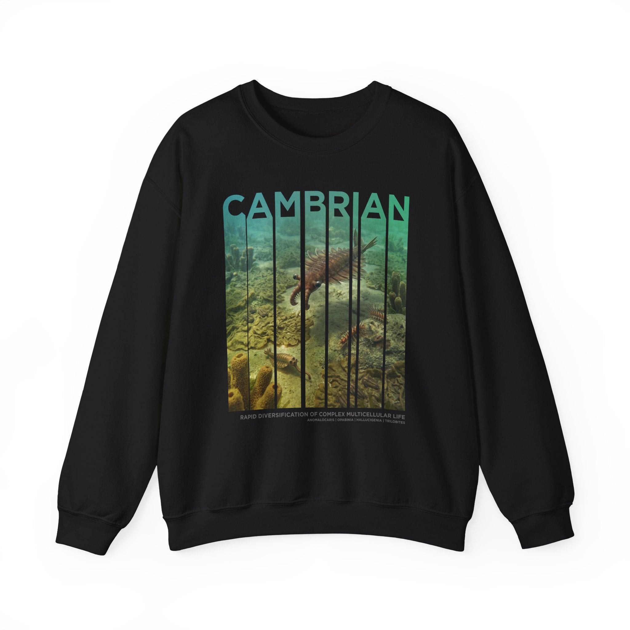 Cambrian Sweatshirt | ERA EDITION