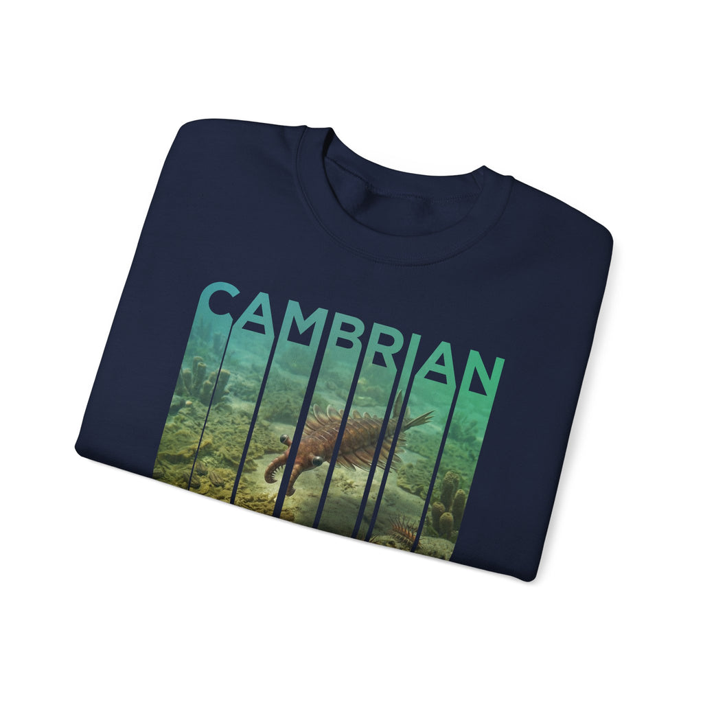 Cambrian Sweatshirt | ERA EDITION