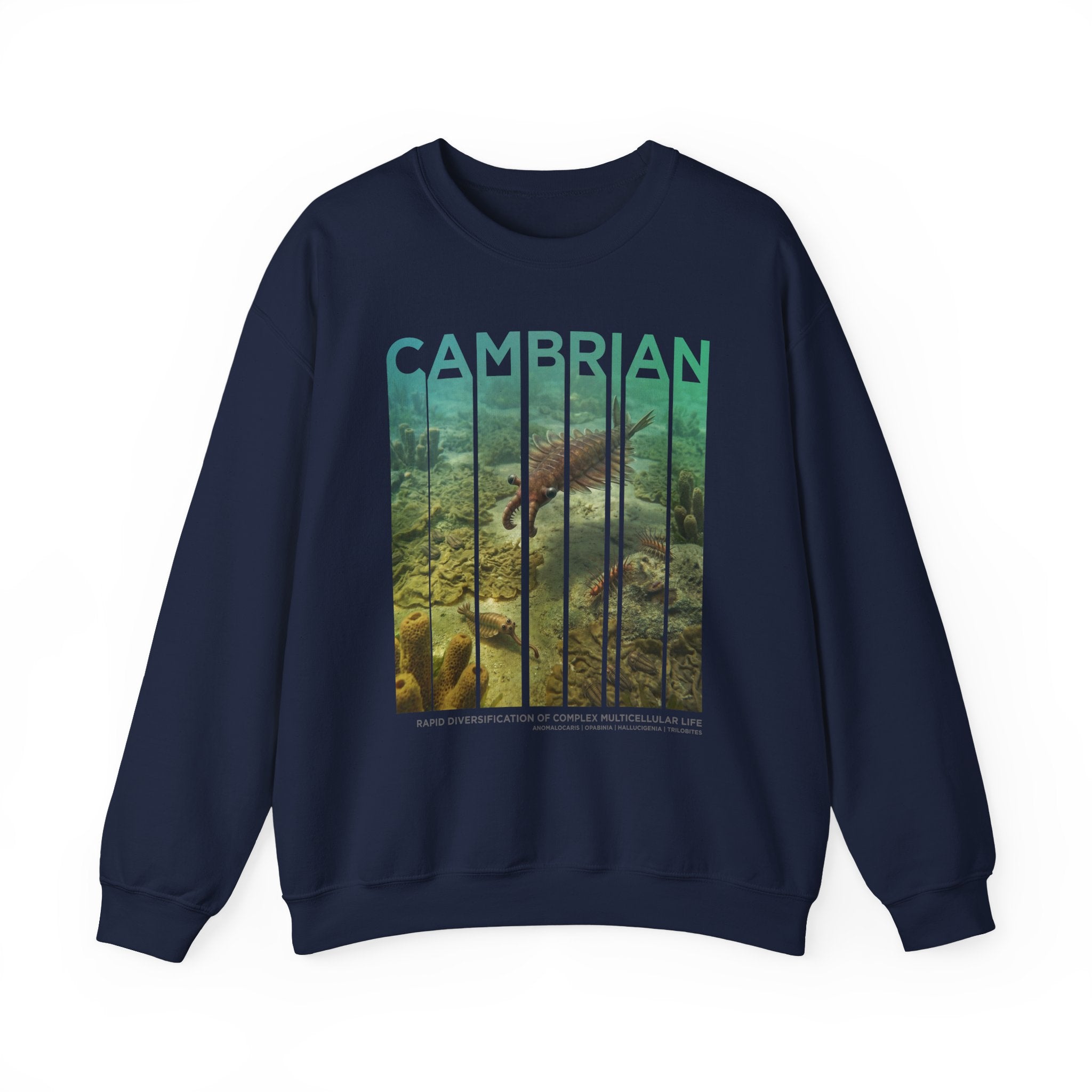 Cambrian Sweatshirt | ERA EDITION