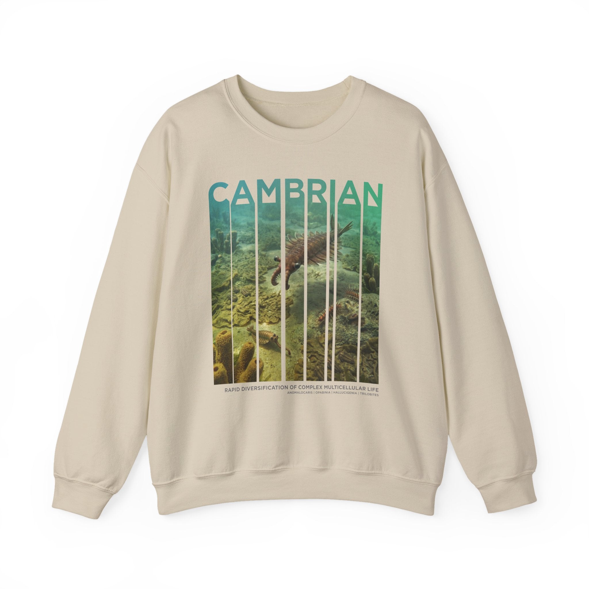 Cambrian Sweatshirt | ERA EDITION
