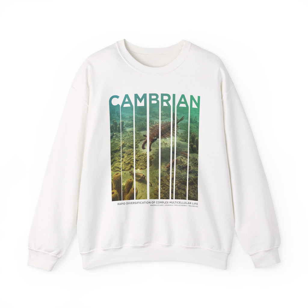 Cambrian Sweatshirt | ERA EDITION