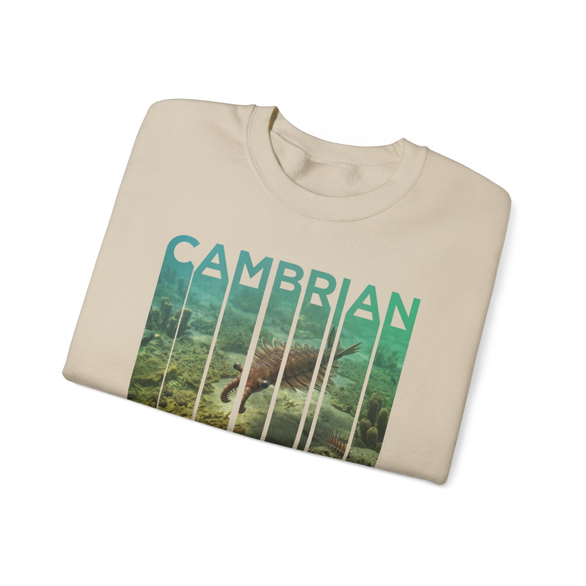 Cambrian Sweatshirt | ERA EDITION