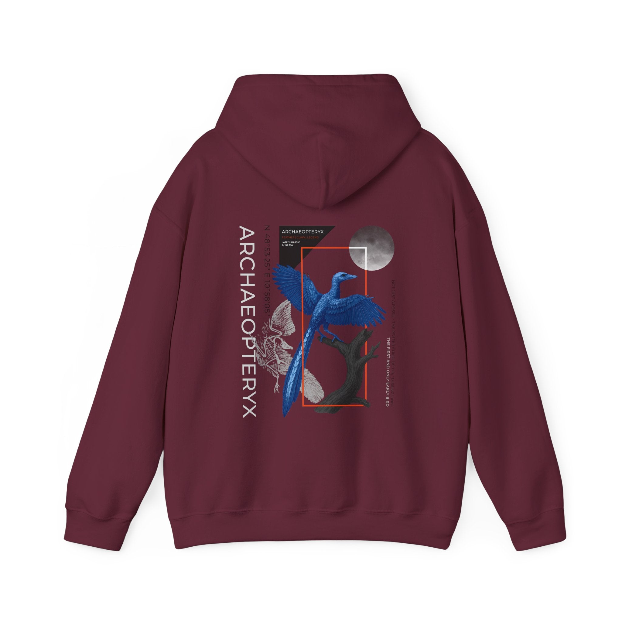 Archeopteryx Hoodie | ARCHIVE OF ORIGINS