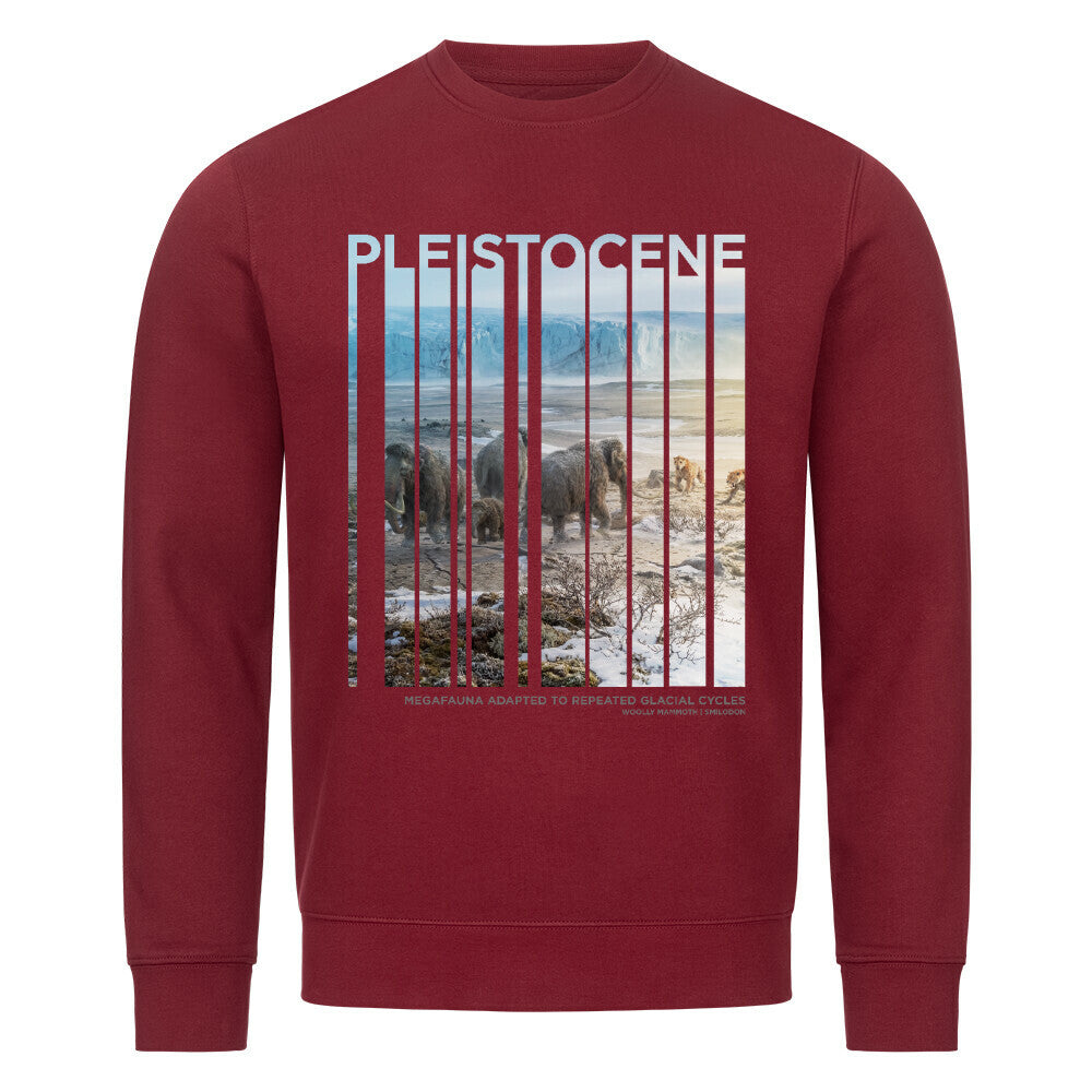 Image for color: burgunder