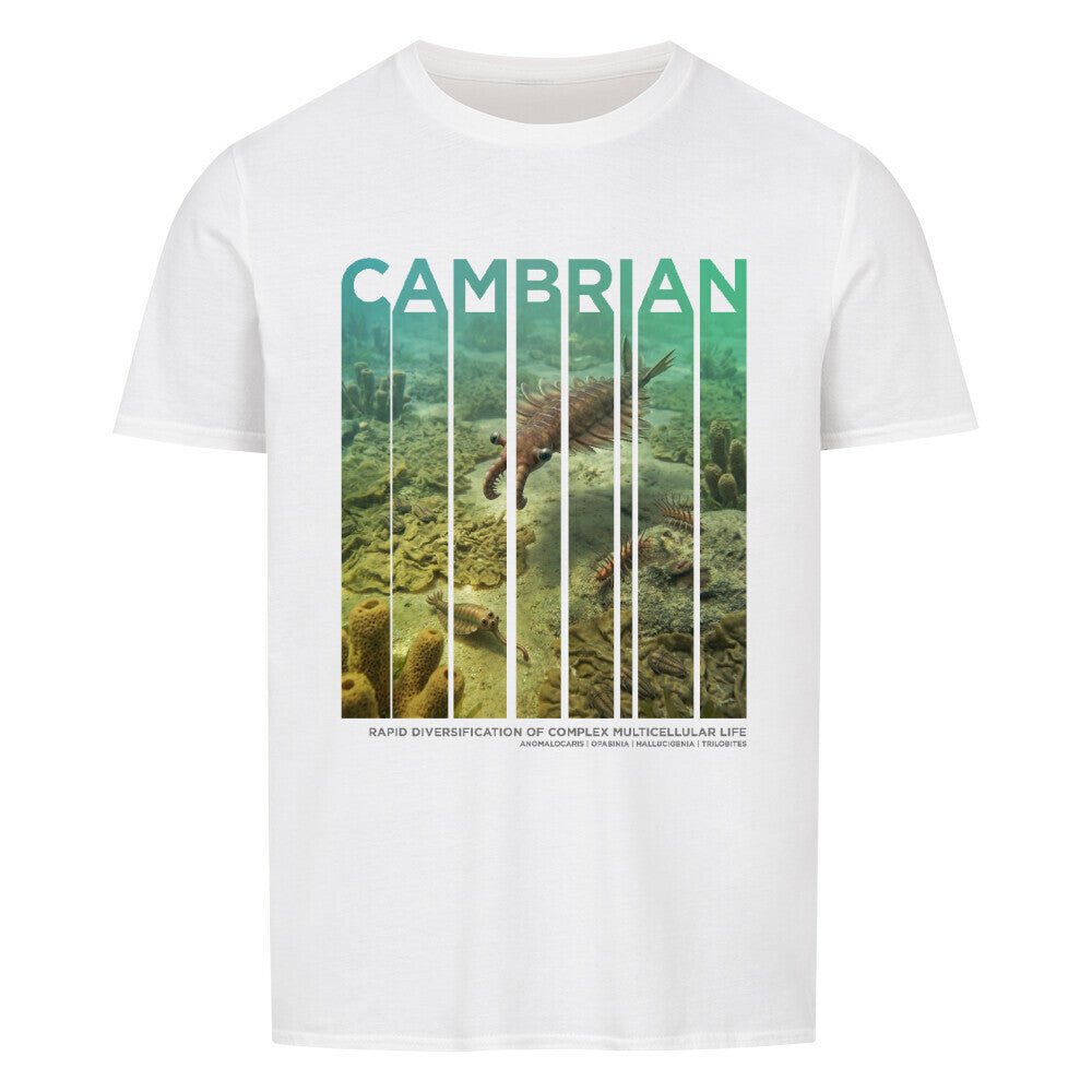 Cambrian T-Shirt | ERA EDITION