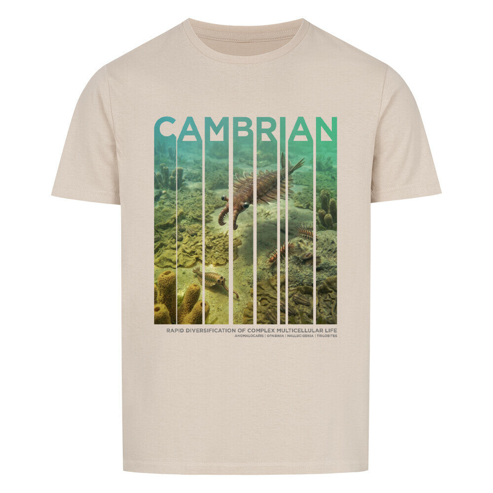 Cambrian T-Shirt | ERA EDITION
