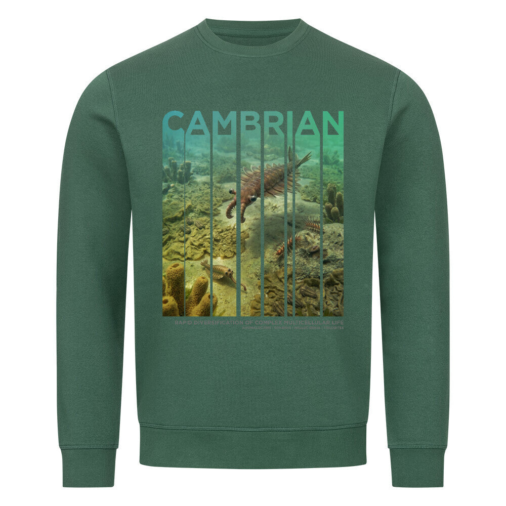 Image for color: varsity green