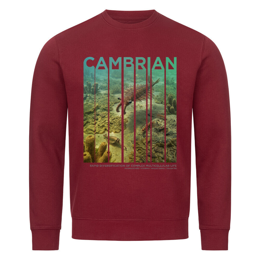 Image for color: burgunder