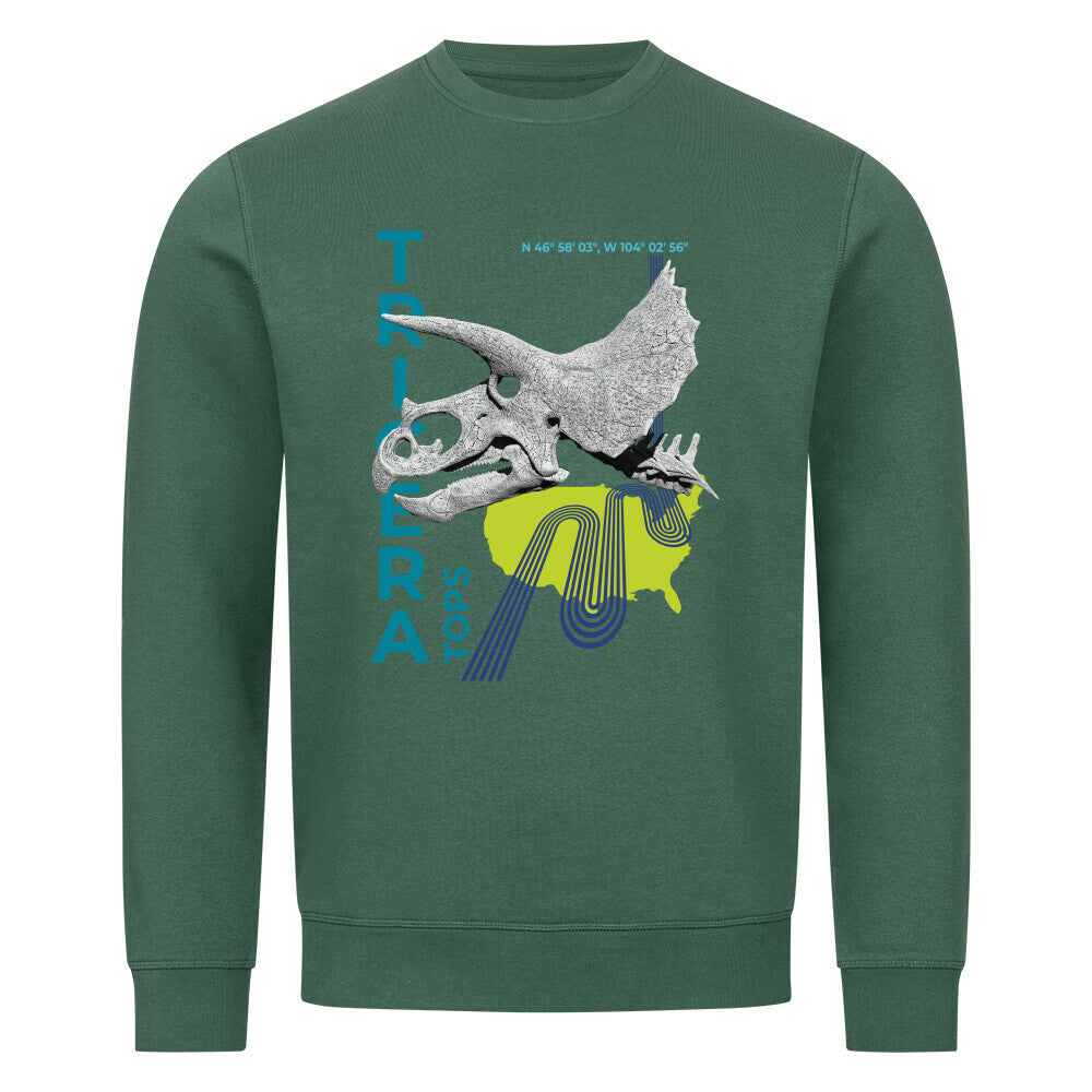 Image for color: varsity green
