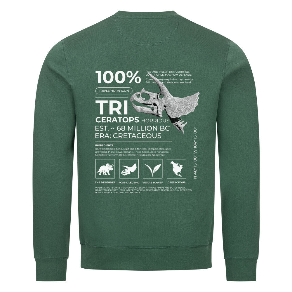 Image for color: varsity green