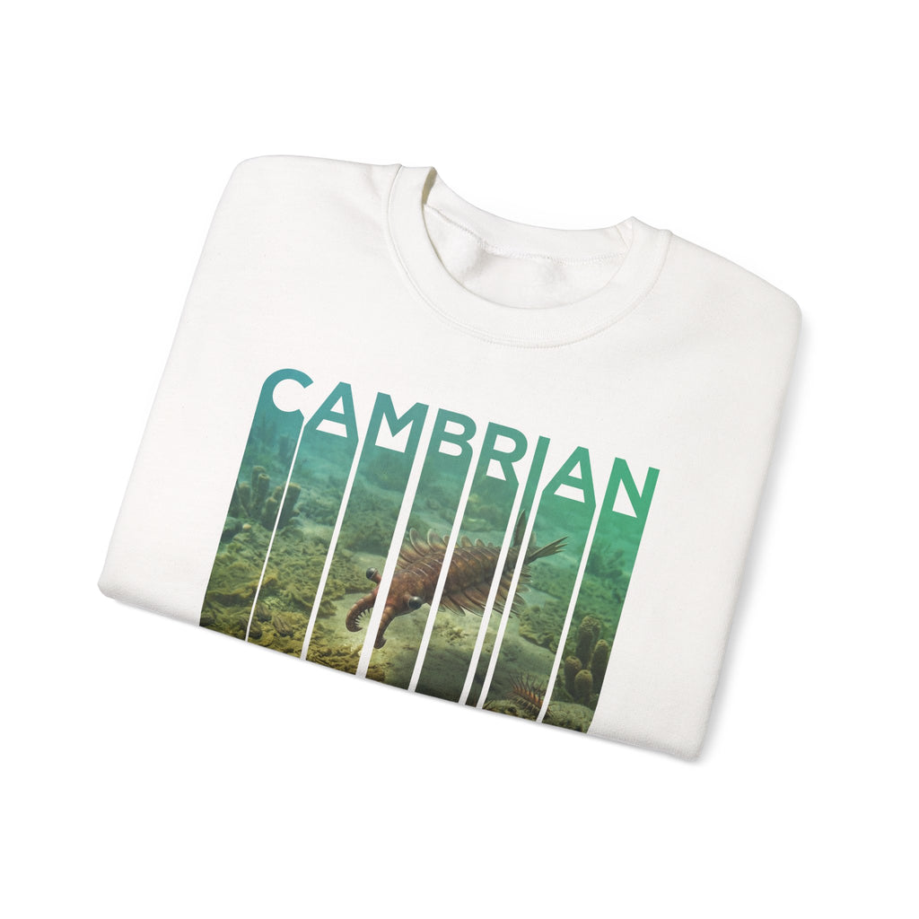 Cambrian Sweatshirt | ERA EDITION