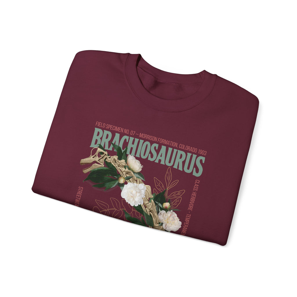 Brachiosaurus - Sweatshirt | FLOWERS