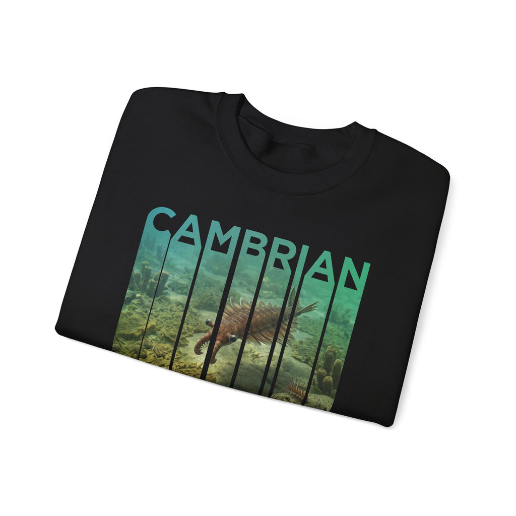 Cambrian Sweatshirt | ERA EDITION
